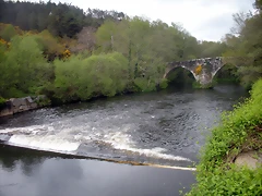 DSCN4135