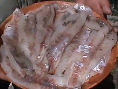 DSC00475