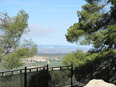 IMG_1744 IMG_1744