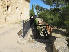 IMG_1739 IMG_1739