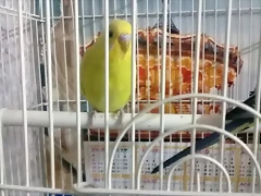 20190101_192308