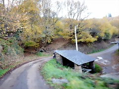 DSCN0022 DSCN0022