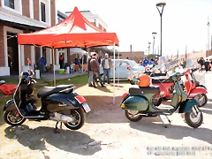 DSC_0151 DSC_0151