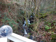 DSCN3317 DSCN3317