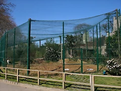 Zoo de Barcelona 27-02-11 141 Zoo de Barcelona 27-02-11 141