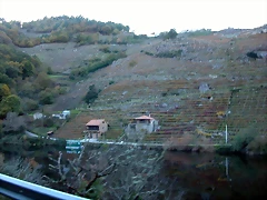 DSCN6480 DSCN6480