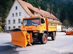 Llevaneus