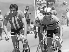 1984,MERCKX,COORS CLASSIC