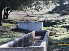 14, pilar bajo la sombra de encinas, marca