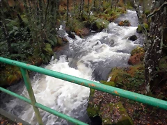 DSCN1830 DSCN1830