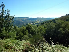 DSCN7586