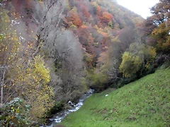 DSCN0448