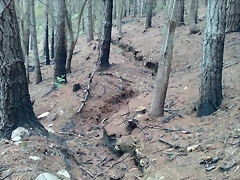 Trinchera V