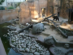 Zoo de Barcelona 17-07-2010 196