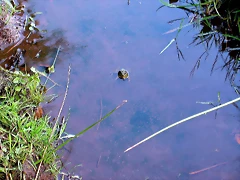 DSCN5286 DSCN5286