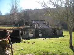 DSCN2926