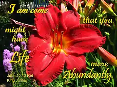 life_abundant