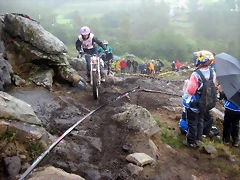 IMG_0705 IMG_0705