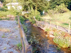 DSCN9299 DSCN9299