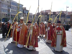 palmas15