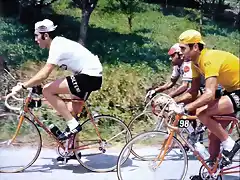 Oca?a-Tour1971-Mente-Agostinho-Merckx