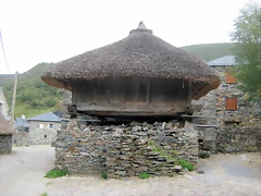 IMG_0420 IMG_0420