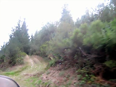 IMG_0496 IMG_0496