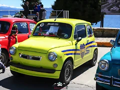 CAS_3994 CAS_3994