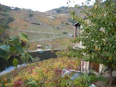 DSCN9853 DSCN9853