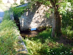 DSCN2369 DSCN2369