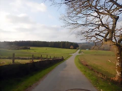 DSCN2472 DSCN2472