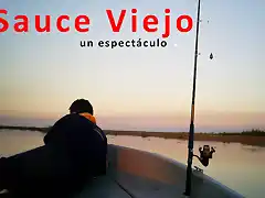 sauceviejo