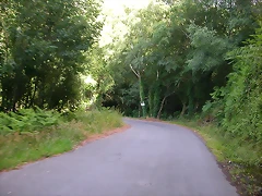 DSCN1862 DSCN1862