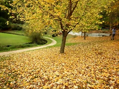 DSCN2625