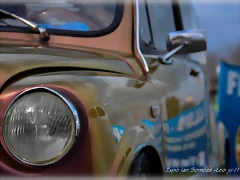 DSC_0051 DSC_0051