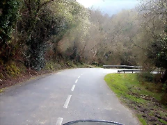 DSCN8159 DSCN8159