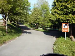 DSCN2060