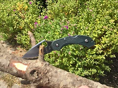 IMG_1583 IMG_1583