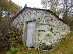 DSCN1293