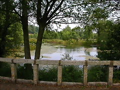 DSCN1354 DSCN1354