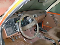CIMG0545 CIMG0545