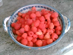 Photo010