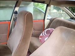 CIMG0546 CIMG0546