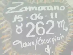 Zamo 262