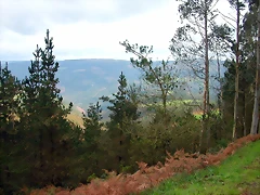 DSCN6238 DSCN6238