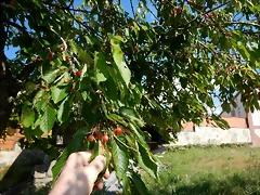 DSCN2337 DSCN2337