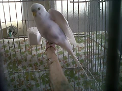 IMG00093-20100920-0642