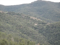 IMG_0399 IMG_0399