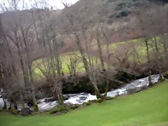DSCN2788 DSCN2788
