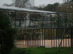 Zoo de Barcelona 15-03-11 019